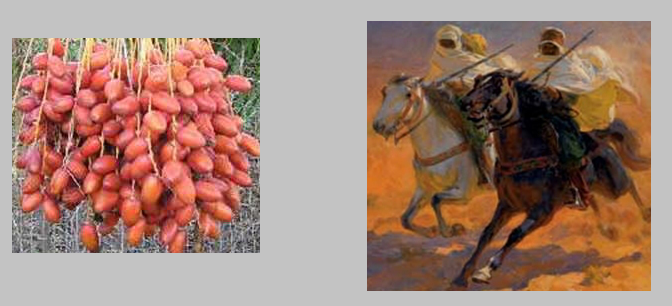 Peygamberimiz Karşı Diğer Kabilelere Yapılan Davet