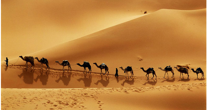 Peygamberimiz (s.a.v.) ilk ticarete gidişi