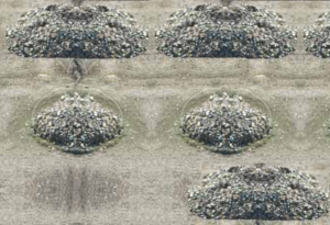 vİslam Ordusunun Harp Nizamına Sokulması