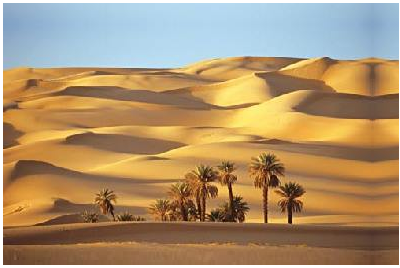 İslam Ordusu Tarafından Düşman Ordusunun Sayısını Tahmin Edilmesi