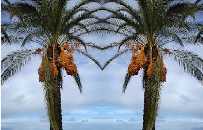 Ağaçların ve Dağların Selam Vermesi Mucizesi