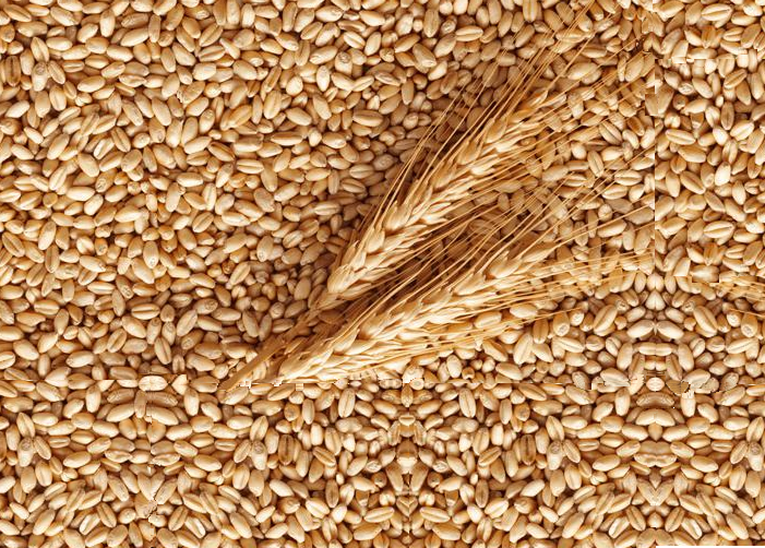 Fitre ( Fıtır Sadakası) Nedir? Niçin Verilir?