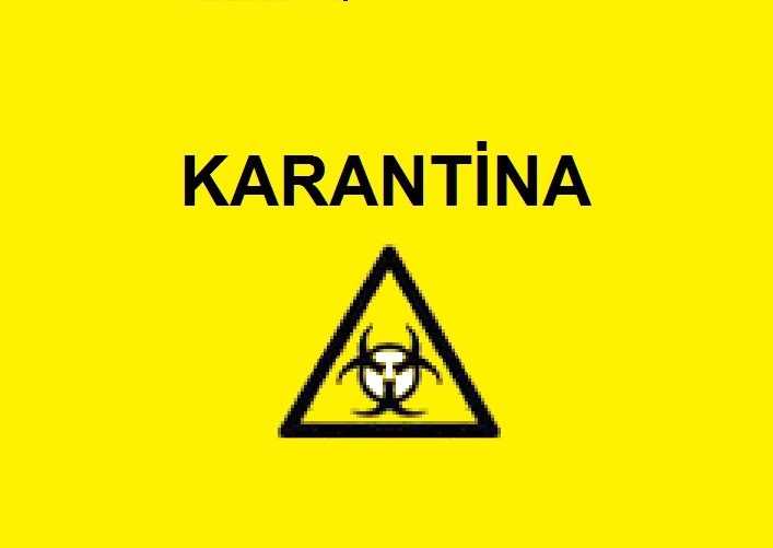 karantina