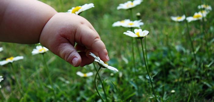 Sevilenin Her Hali Sevene Sirayet Eder