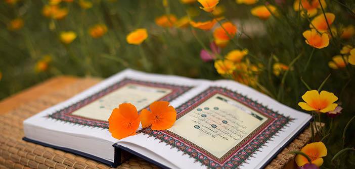 Âl-i İmrân Suresi 109. Ayet Meali, Arapça Yazılışı, Anlamı ve Tefsiri