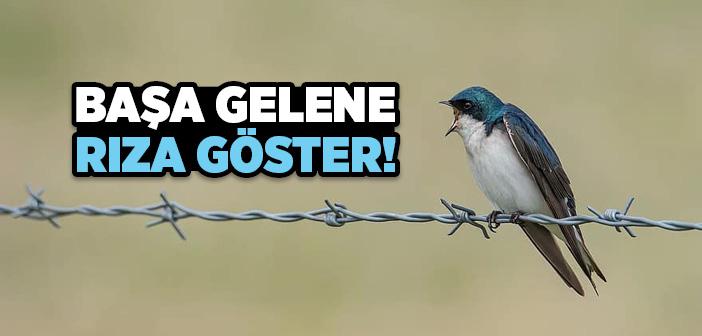 Kadere Rıza ve Teslimiyet Nasıl Olur?