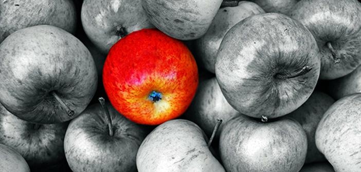 Kur’an Ahlakı ile Ahlaklanmak