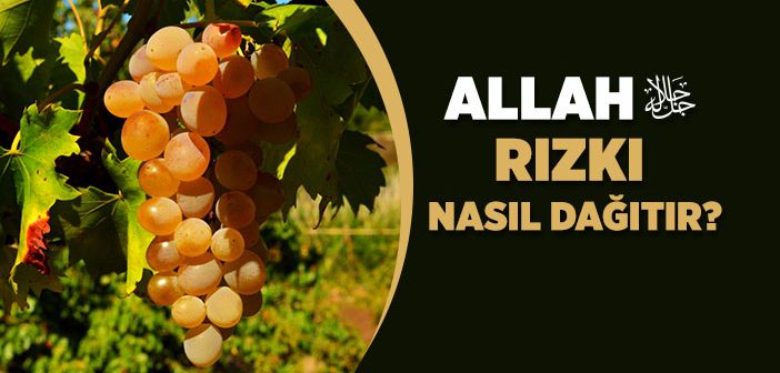 preview-702-8 Rızık Ne Demek?