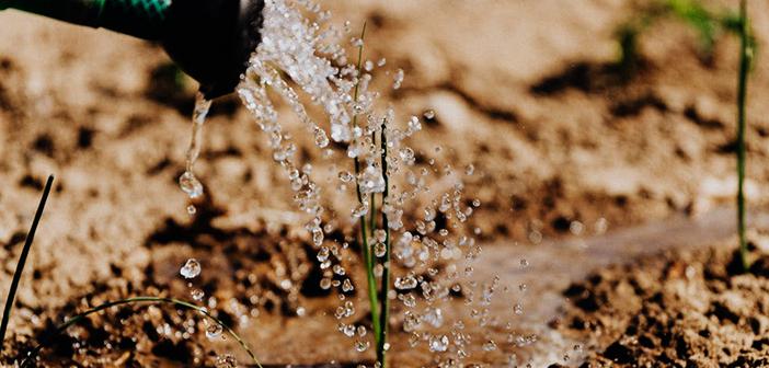 Hayat, Toprakta Başlar ve Toprakta Biter