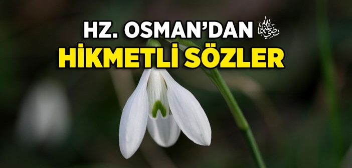 Hz. Osman’ın (r.a.) Hayatı