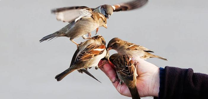 Hz. Ebubekir’in (r.a.) Sözleri