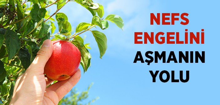 Nefsin Hoşlandığı ve Hoşlanmadığı Şeyler