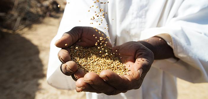 Zekatın Verileceği 8 Sınıf