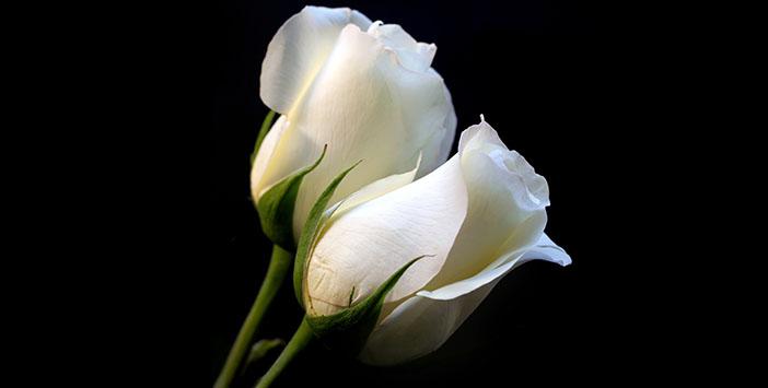 Hz. Osman’ın (r.a.) Hayatı