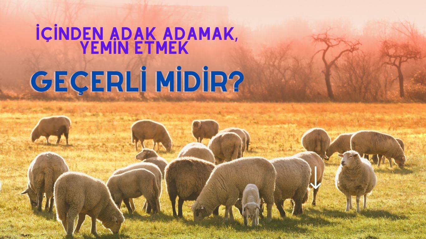 İçinden Adak Adamak, Yemin Etmek Geçerli midir?