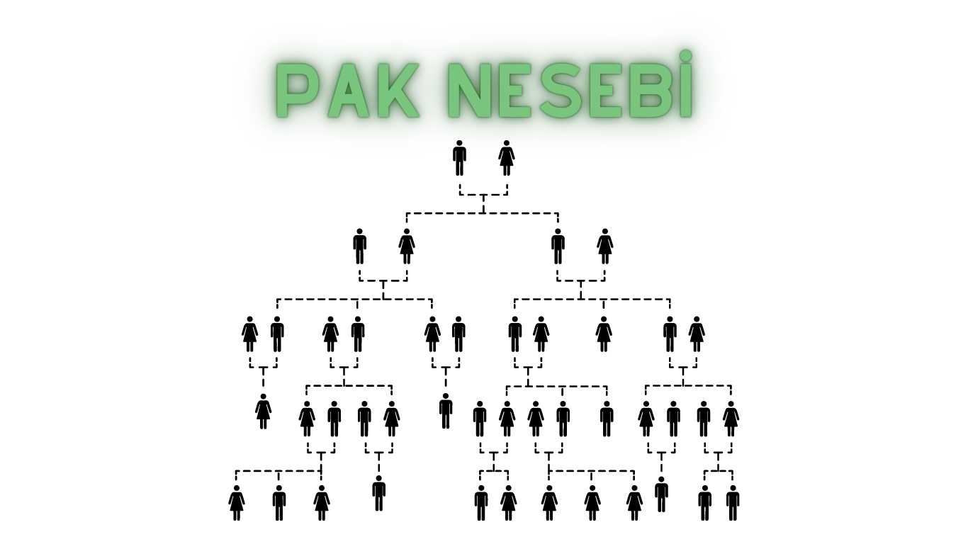 Pak Nesebi