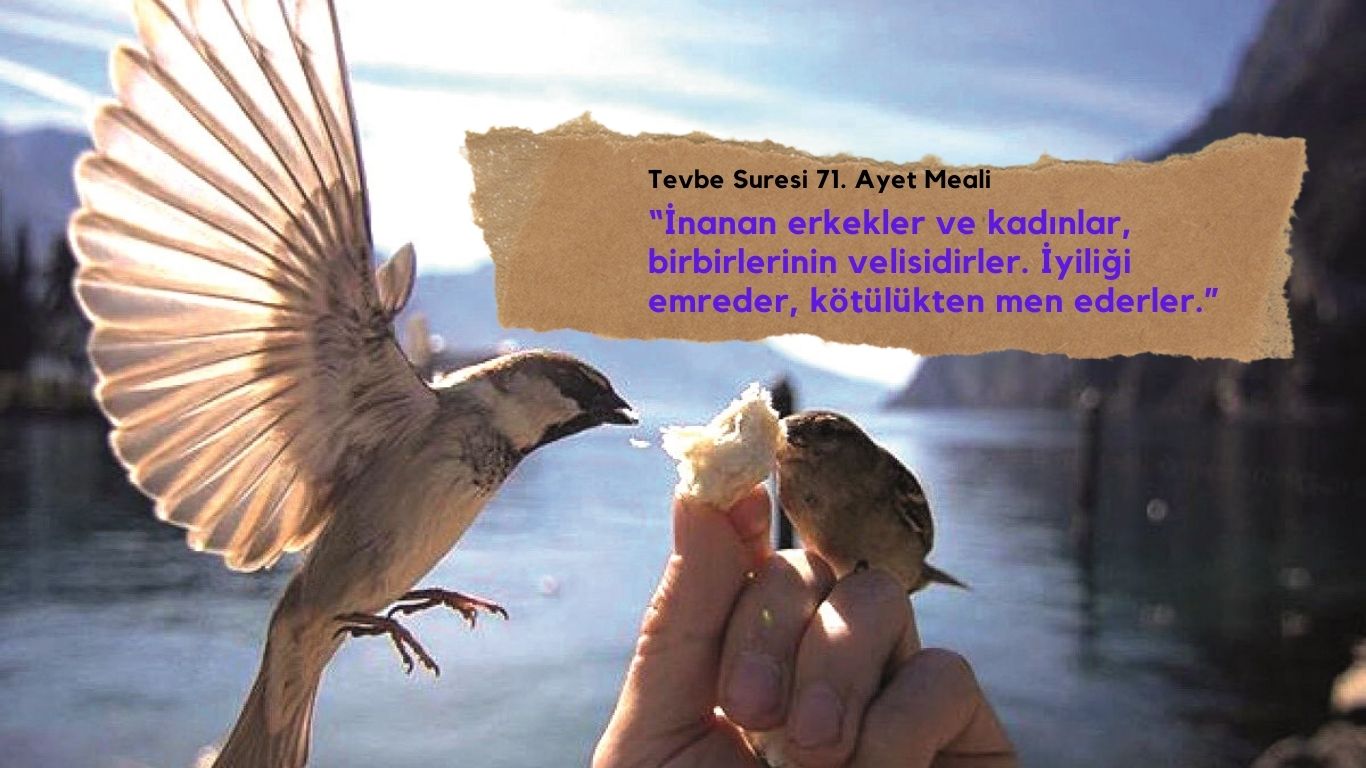 Tevbe Suresi 71. Ayet Meali ve Tefsiri