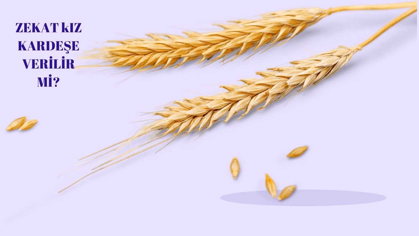 zekat kimlere verilir,  zekat kimlere verilir ayet, zekat kimlere verilir kimlere verilmez, zekat kimlere verilir diyanet, zekat kimlere verilir yazalım, zekat kimlere verilir akraba, zekat kimlere verilir eodev, zekat kimlere verilir 8.sınıf, zekat kimlere verilir tablo, zekat kimlere verilir aileden, zekat kimlere verilir altın, zekat kimlere verilir hangi ayet, zekat akrabalardan kimlere verilir,  zekat kimlere verilir ayet, zekat kimlere verilir kimlere verilmez, zekat kimlere verilir diyanet, zekat kimlere verilir yazalım, zekat kimlere verilir akraba, zekat kimlere verilir eodev, zekat kimlere verilir 8.sınıf, zekat kimlere verilir tablo, zekat kimlere verilir aileden, zekat kimlere verilir altın, zekat kimlere verilir hangi ayet, zekat akrabalardan kimlere verilir, zekat kimlere verilir kısaca bilgi, aile bireylerinden kimlere zekat verilir, diyanet işleri başkanlığı zekat kimlere verilir,