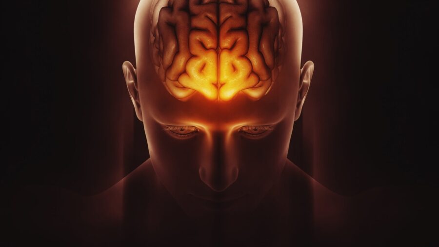 Organların Günahları Nelerdir?