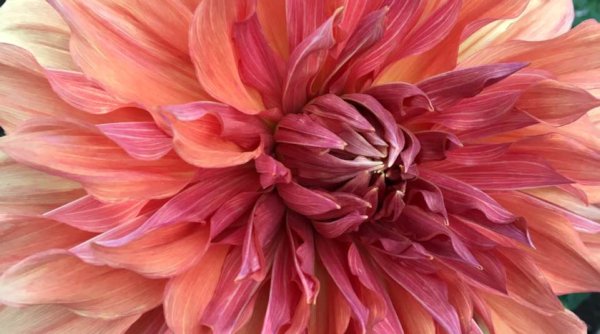 Hayırlı bir gün – 15-02-2024