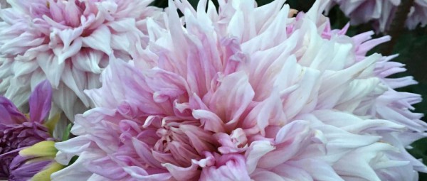 Hayırlı bir gün – 30-05-2024