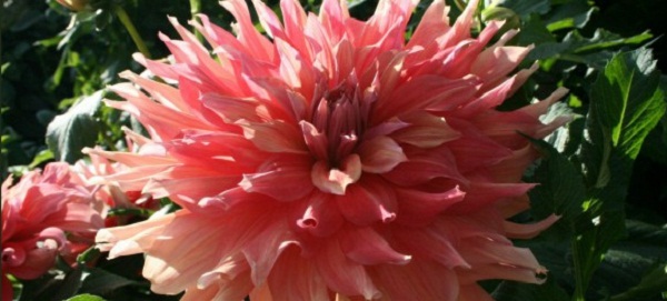 Hayırlı bir gün= – 31-05-2024