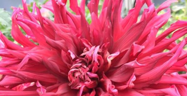 Hayırlı bir gün – 27-05-2024