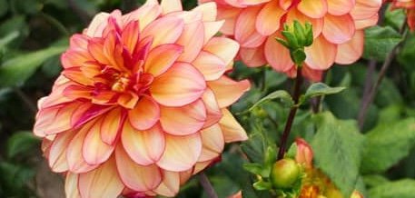 Hayırlı bir gün – 05-08-2024