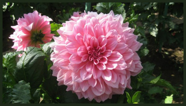 Hayırlı bir gün – 11-09-2024