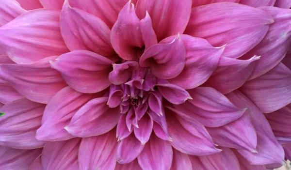 Hayırlı bir gün – 13-09-2024