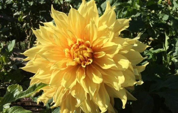 Hayırlı bir gün – 12-09-2024