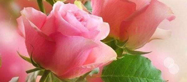 Hayırlı bir gün – 18-09-2024