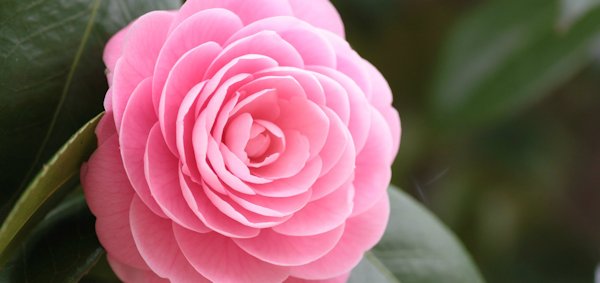 Hayırlı bir gün – 16-09-2024