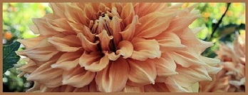 Hayırlı bir gün – 24-10-2024