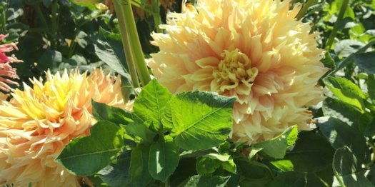 Hayırlı bir gün – 25-10-2024