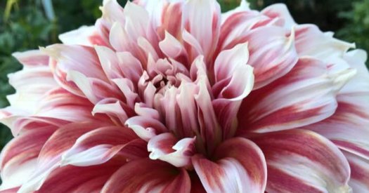 Hayırlı bir gün – 24-01-2025