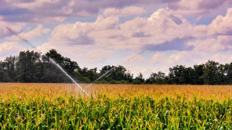 Yağmurlama Sulama Sisteminin Avantajları Nelerdir?