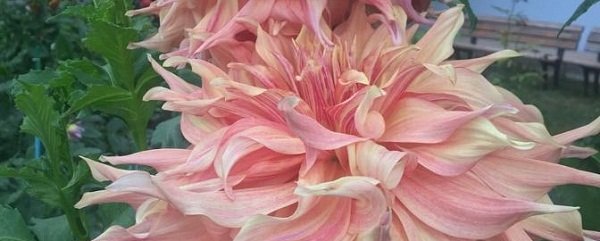 Hayırlı bir gün – 12-03-2025