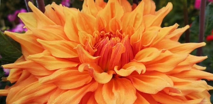 Hayırlı bir gün – 20-03-2025