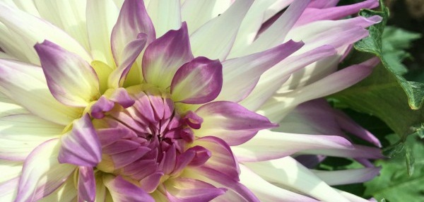 Hayırlı bir gün – 27-03-2025