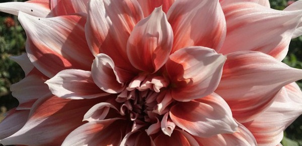 Hayırlı bir gün – 29-03-2025