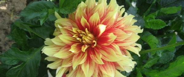 Hayırlı bir gün – 22-03-2025