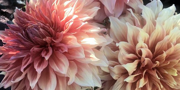 Hayırlı bir gün – 28-03-2025