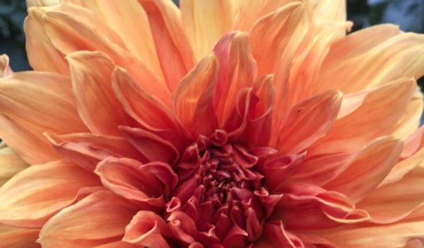 Hayırlı bir gün – 19-03-2025