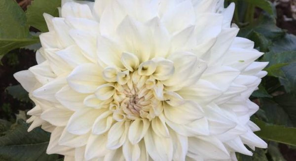 Hayırlı bir gün – 13-03-2025