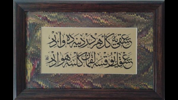 Muzaffer Ozak Hocaefendi