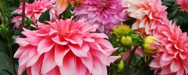 Hayırlı bir gün – 08-05-2025