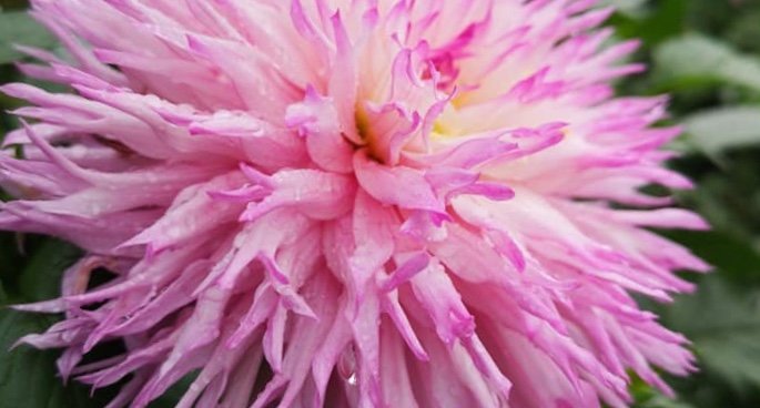 Hayırlı bir gün – 22-05-2025