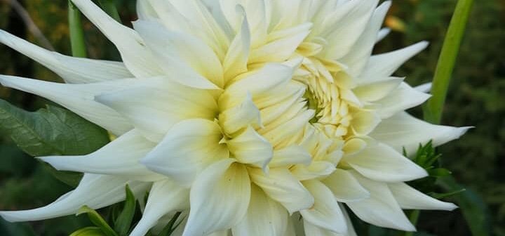 Hayırlı bir gün – 30-05-2025