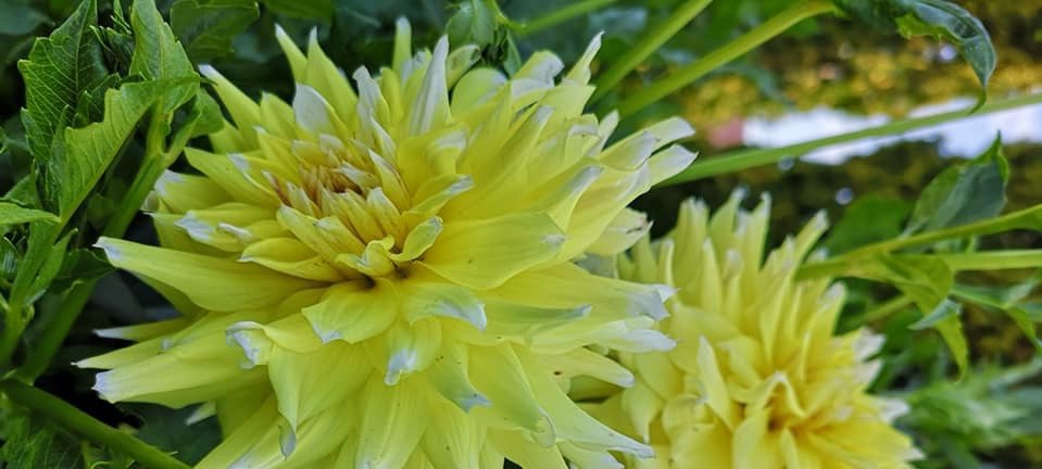 Hayırlı bir gün – 15-05-2025